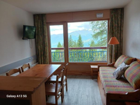 2 pièces pour 5 pers, piscine, animaux admis, parking, proche télécabine - FR-1-411-320